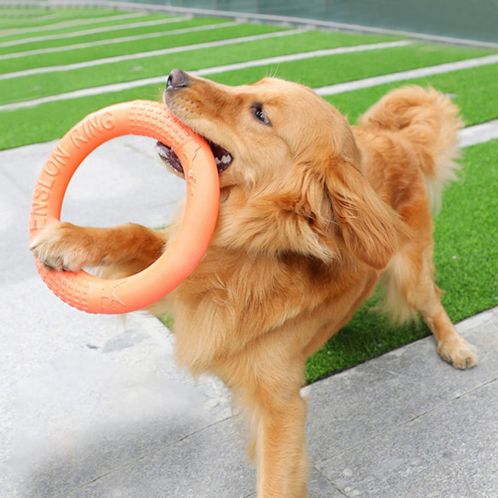 Suction Cup Dog Tug Toy - 1PC cam Dog Đồ chơi Vật