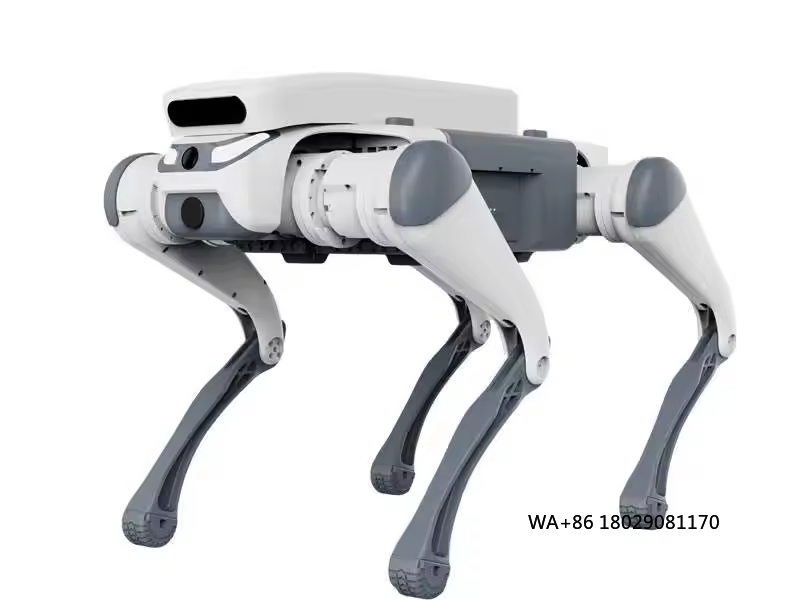 Dog Toys - stunt remote control educational toy intelligent