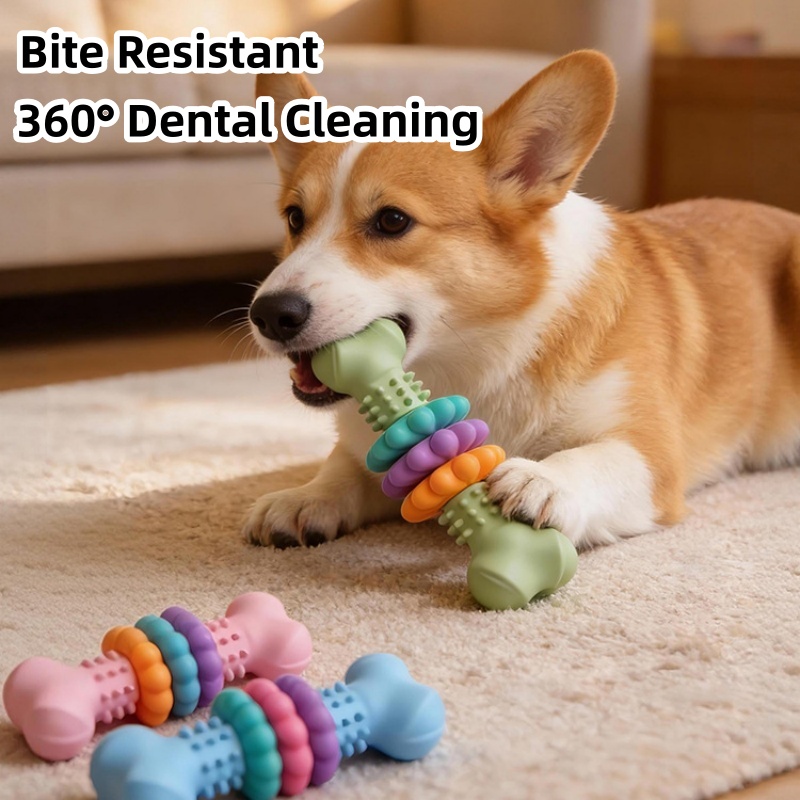 Teeth Cleaning Dog Chew Bone - Durable TPR Dog Chew Toy Bone