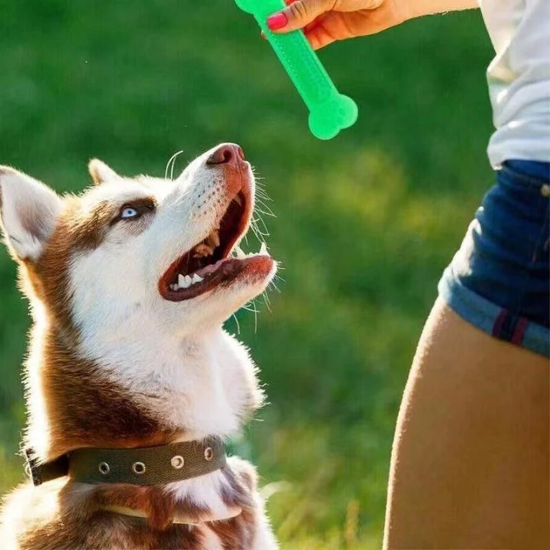 Teeth Cleaning Dog Chew Bone - Super Tough Dog Bone Chew Toy