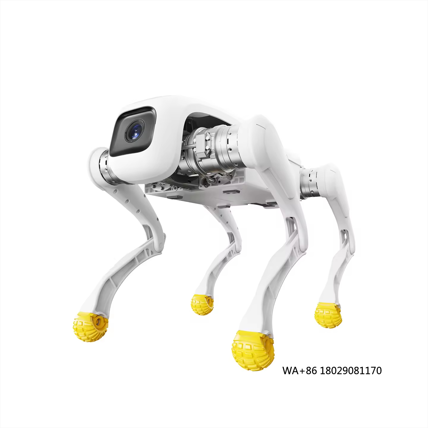 Dog Toys - Design Dog Robot AI Electronic Robotic