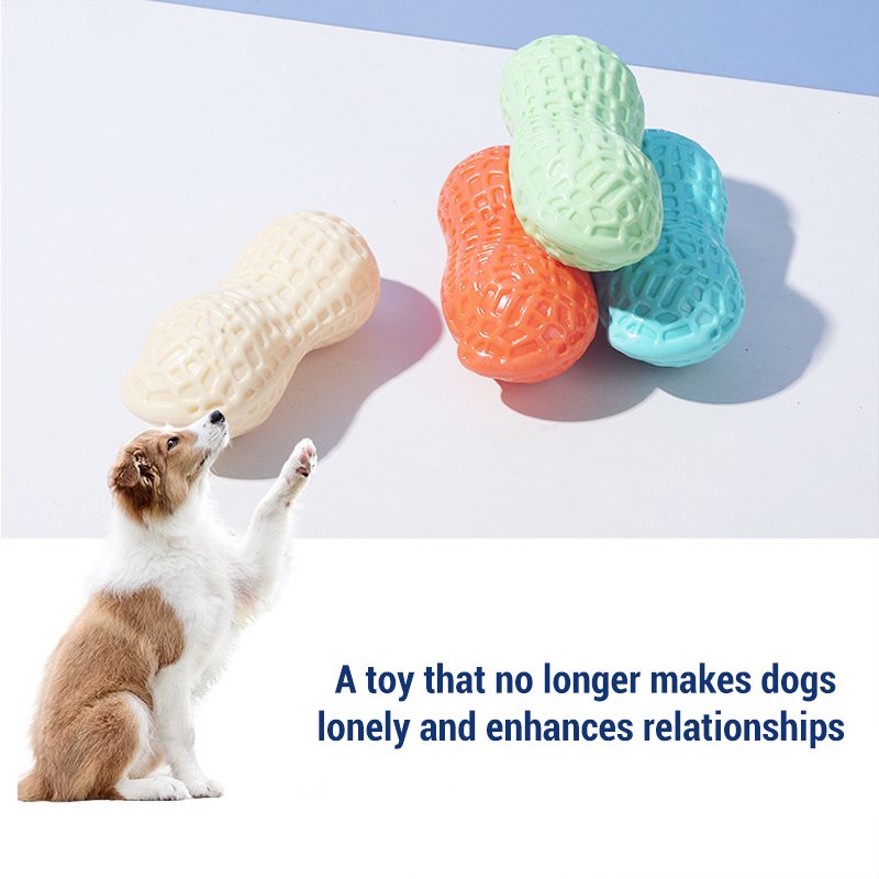 Teeth Cleaning Dog Chew Bone - Squeaky Peanut Bone Dog Chew Toys