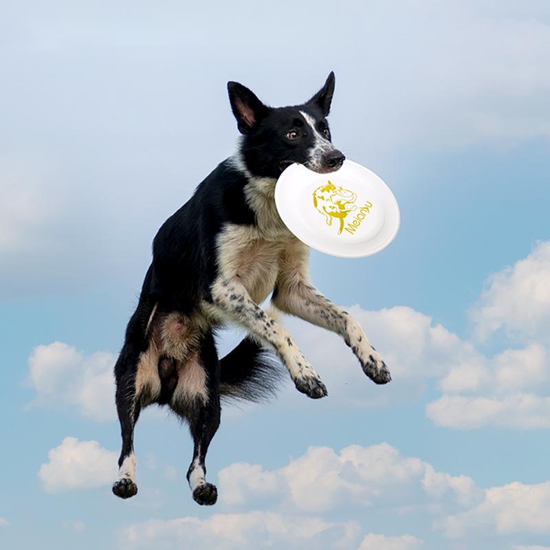 Flying Disc Dog Training Toy - OUZEY Bite Resistant Pet Training Flying