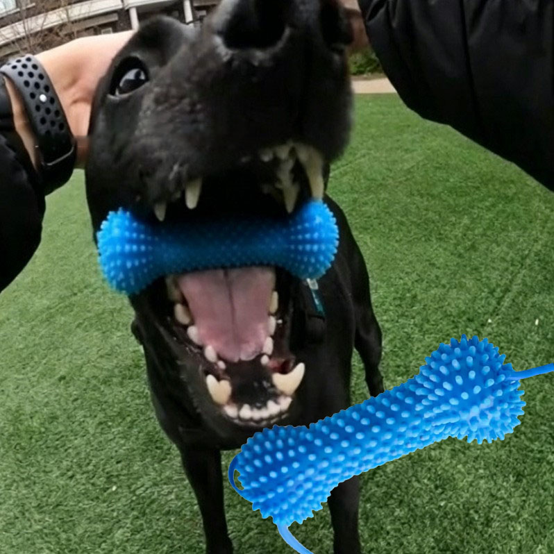 Rubber Treat Dispensing Dog Toy - Dog Toothbrushing Toy Suction Cup Pull