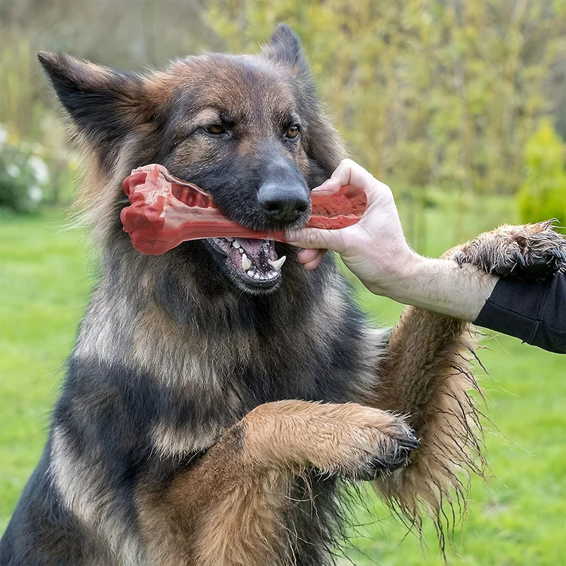 Teeth Cleaning Dog Chew Bone - Super Tough Indestructible Dog Chew Toy