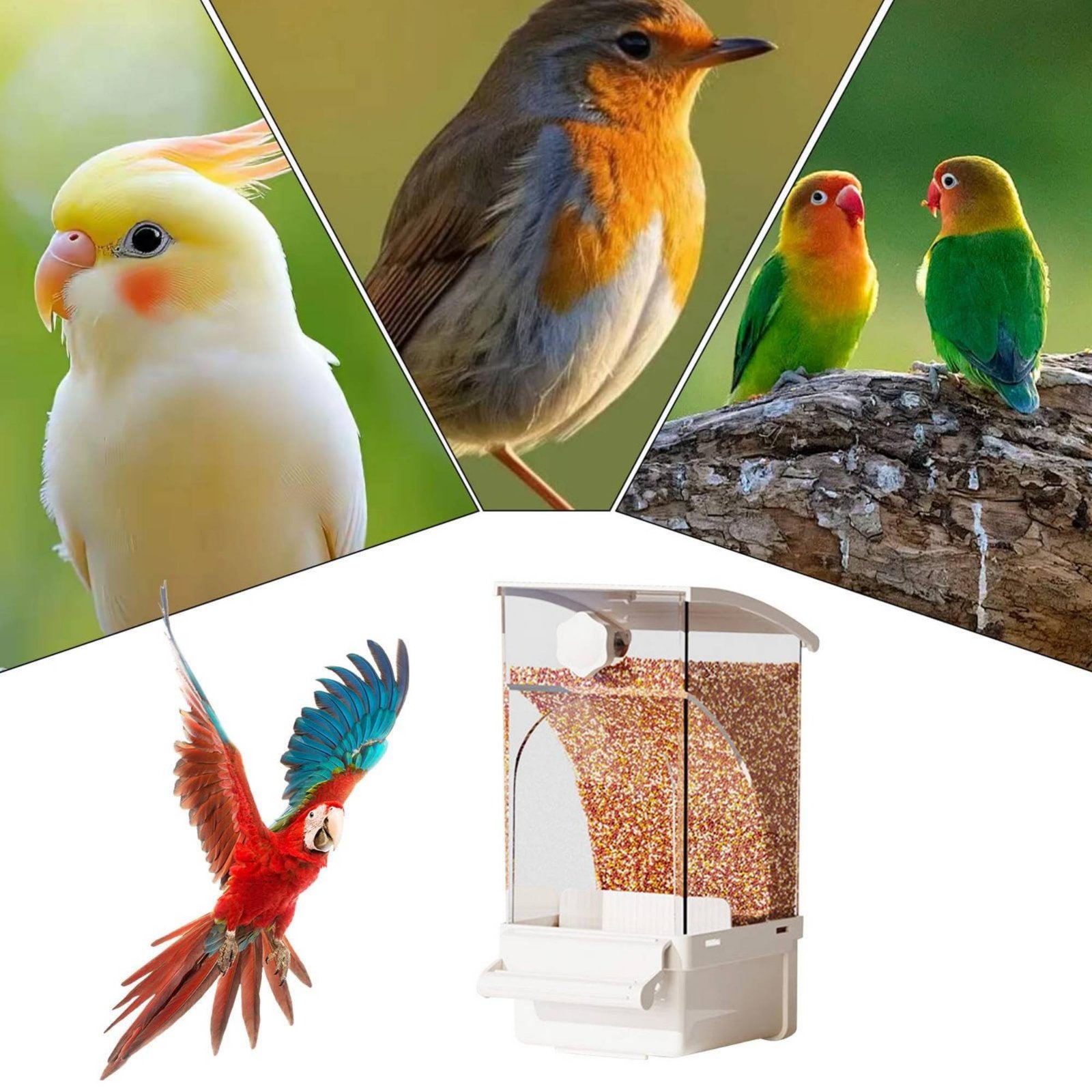Pet Feeders - Automatic Avian Feeder Husk Separating No-Mess