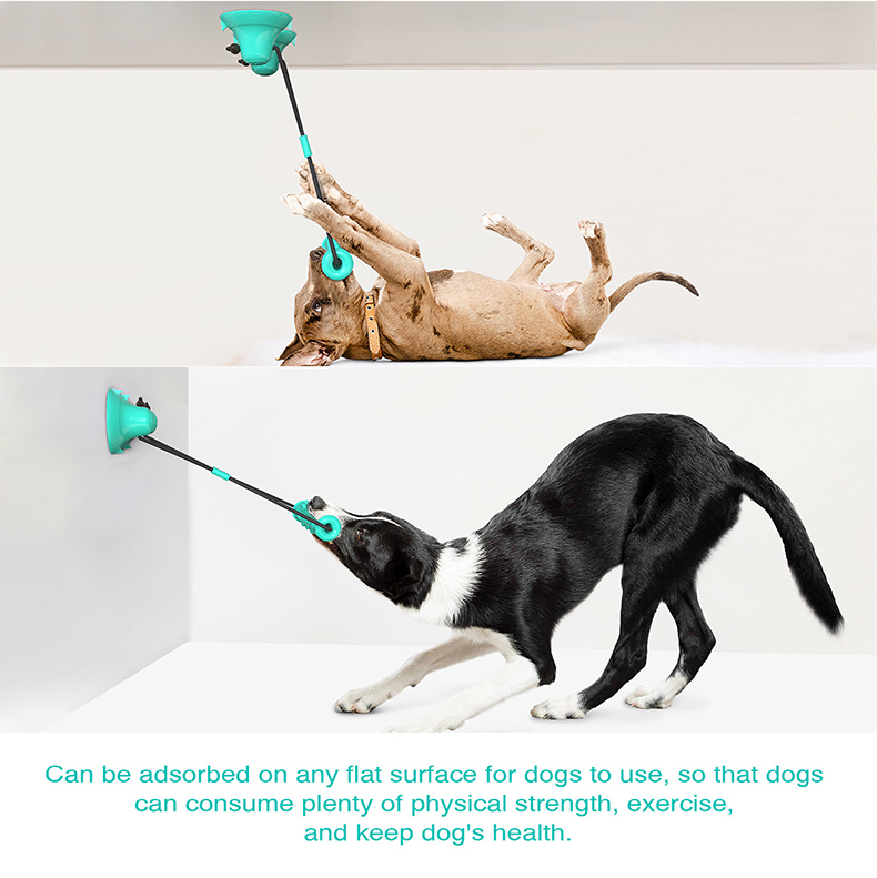 Dog Rope Toy Aggressive Chewers - Dual Suction Cup Dog Chew Tug