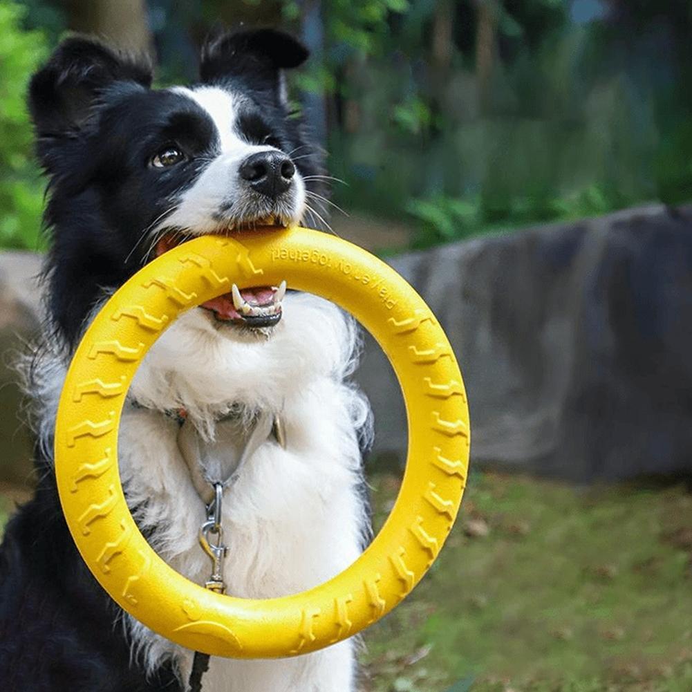 Suction Cup Dog Tug Toy - Dog Ring Toys Indestructible Chewing Flying