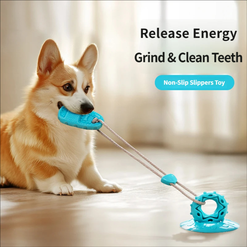 Suction Cup Dog Tug Toy - Suction Cup Dog Tug Toy Interactive