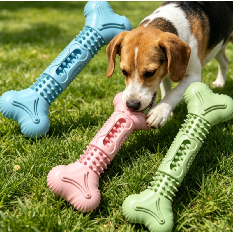 Teeth Cleaning Dog Chew Bone - New Durable Pet Chew Toy Set