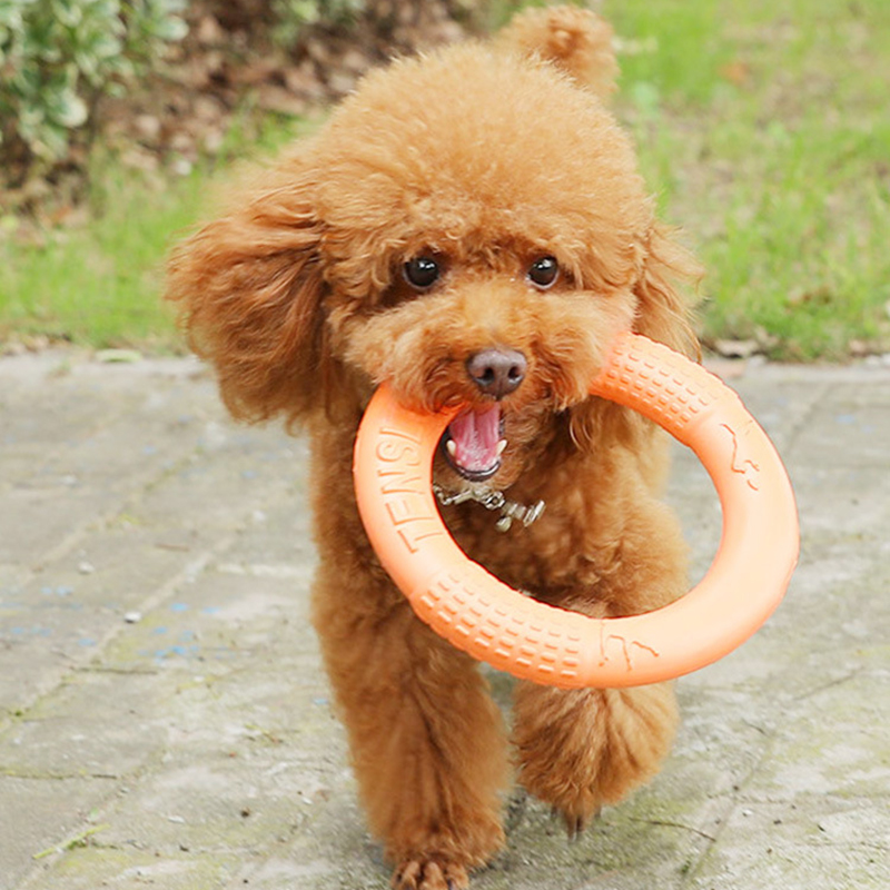 1PC cam Dog Đồ chơi Vật nuôi b - đánh giá và giá Suction Cup Dog Tug Toy