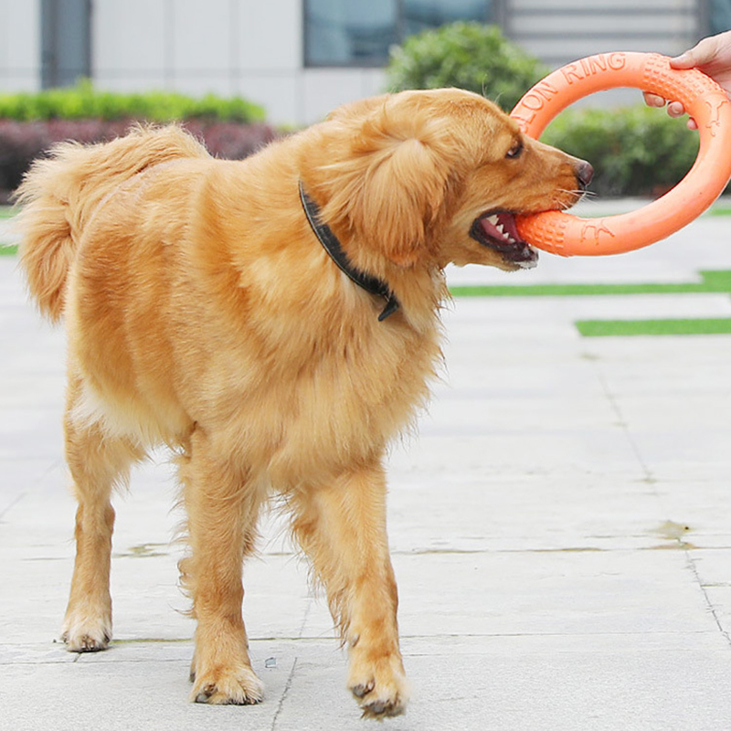 1PC cam Dog Đồ chơi Vật nuôi b - đánh giá và giá Suction Cup Dog Tug Toy