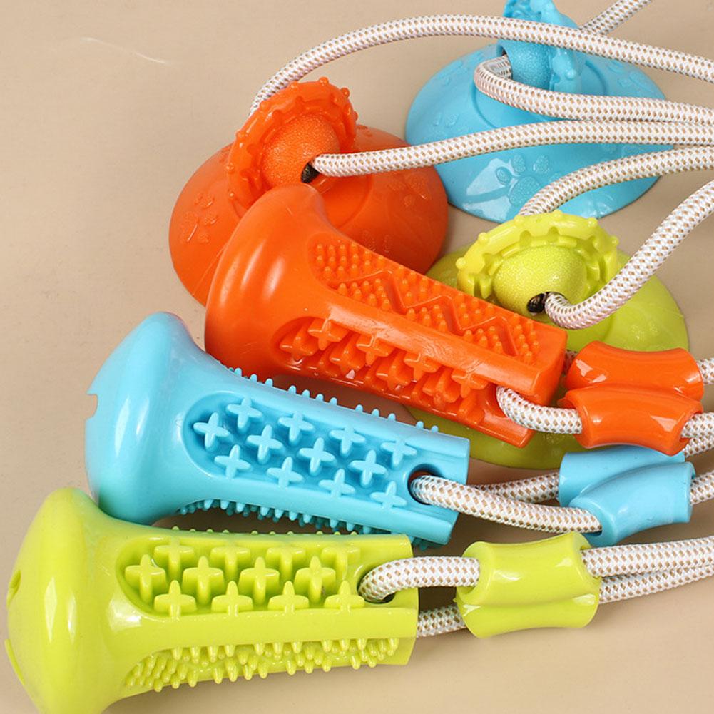 Suction Cup Dog Chew Toy Inter - đánh giá và giá Suction Cup Dog Tug Toy