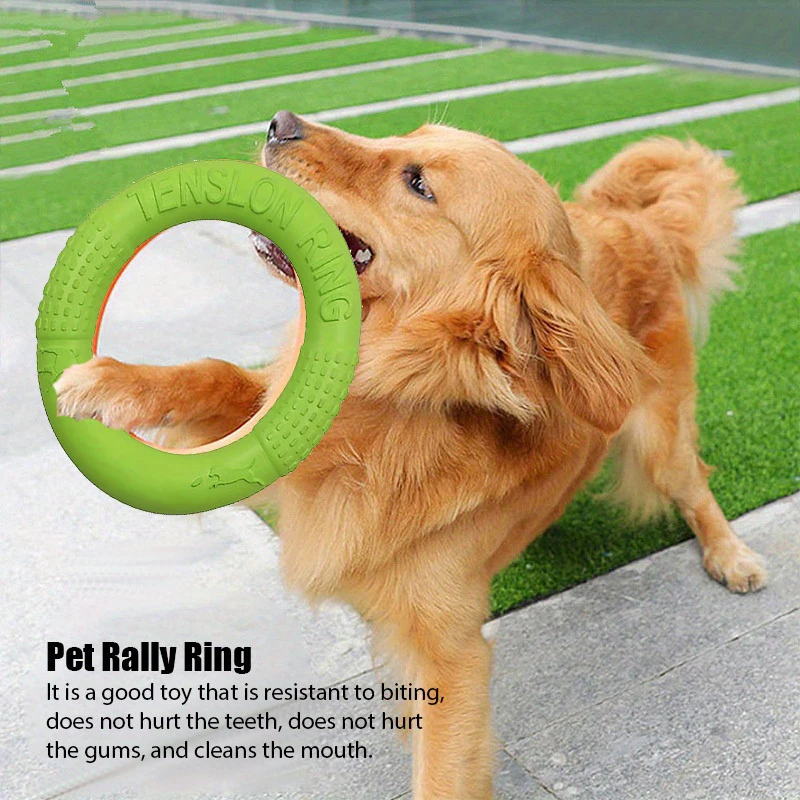 Dog Training Toys Outdoor Spor - đánh giá và giá Flying Disc Dog Training Toy