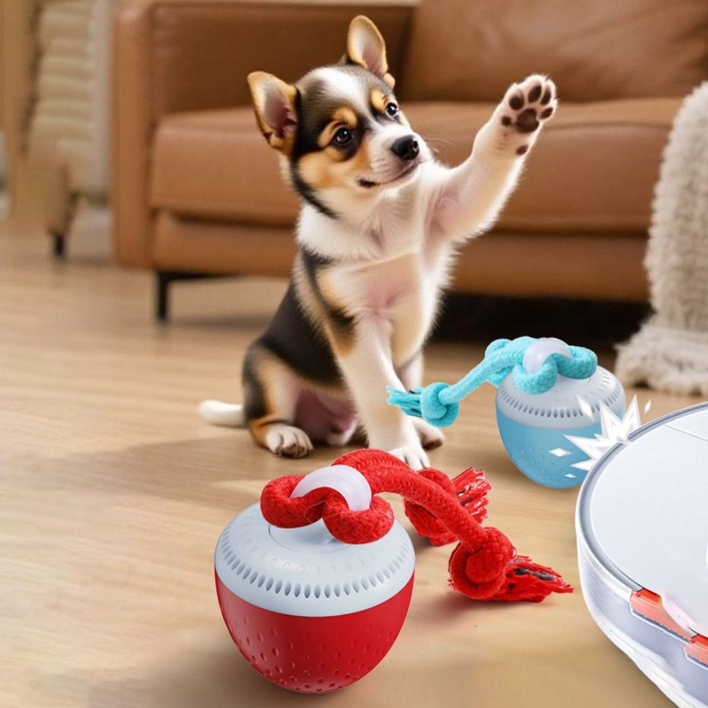 Bite Resistant Smart Pet Toy B - đánh giá và giá Automatic Moving Dog Ball