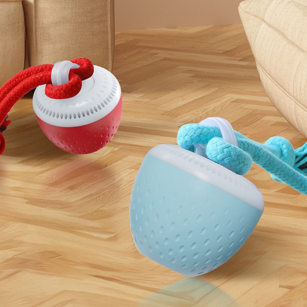 Bite Resistant Smart Pet Toy B - đánh giá và giá Automatic Moving Dog Ball