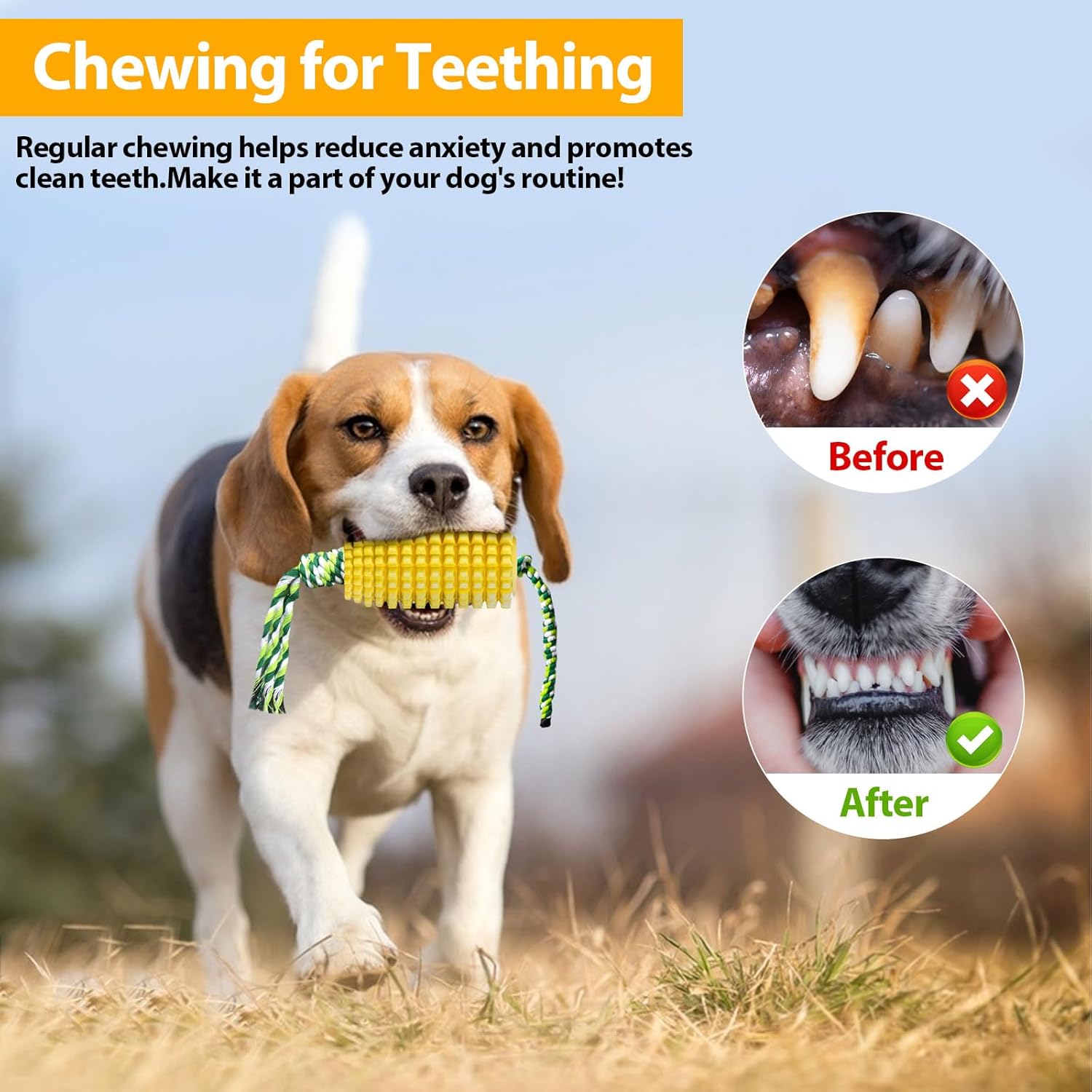 Corn-Shaped Dog Chew Toy for A - đánh giá và giá Dog Rope Toy Aggressive Chewers