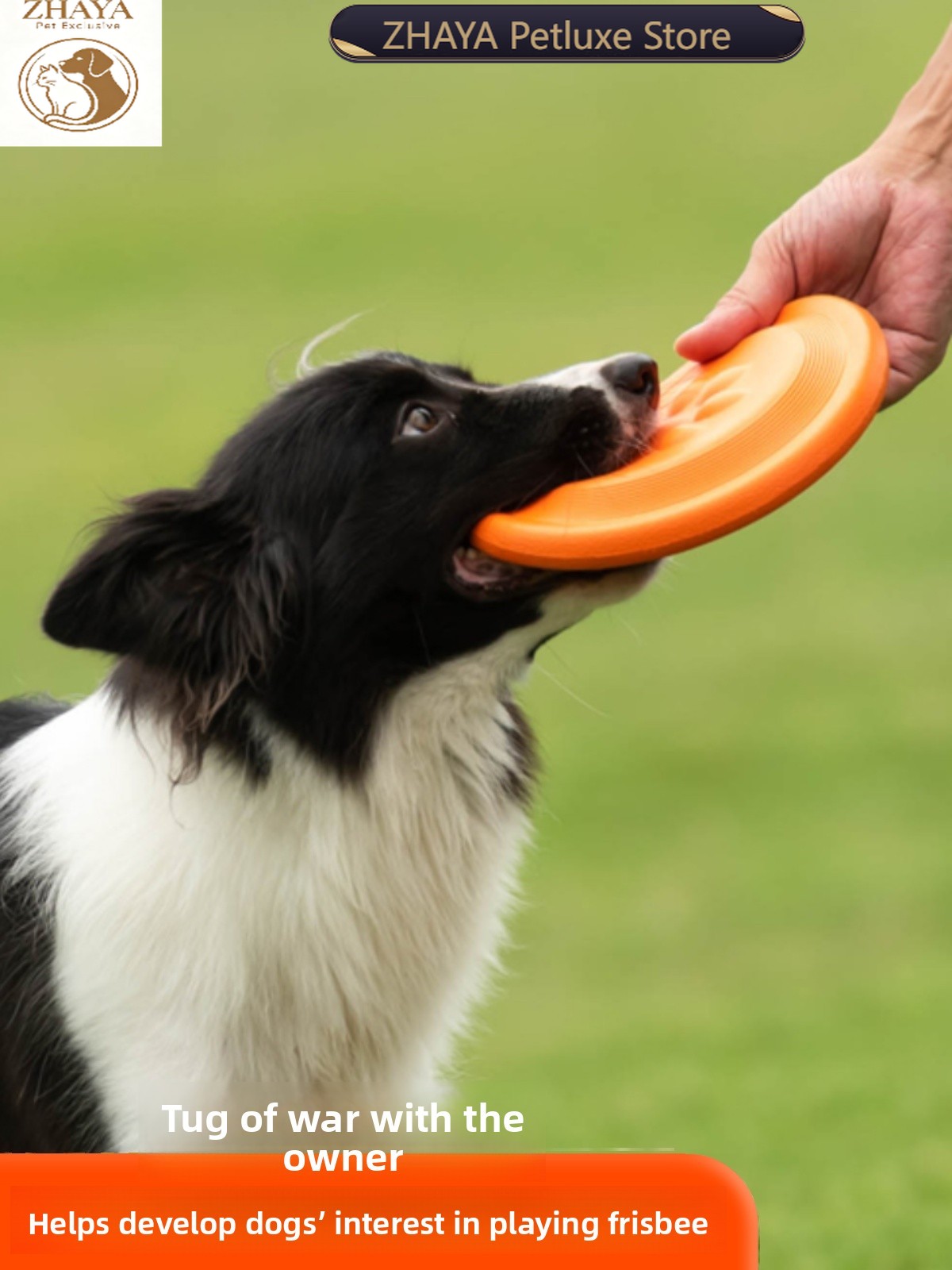 Dog Flying Disc Soft Durable B - đánh giá và giá Flying Disc Dog Training Toy