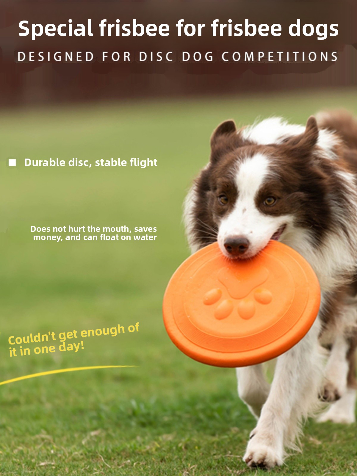 Dog Flying Disc Soft Durable B - đánh giá và giá Flying Disc Dog Training Toy