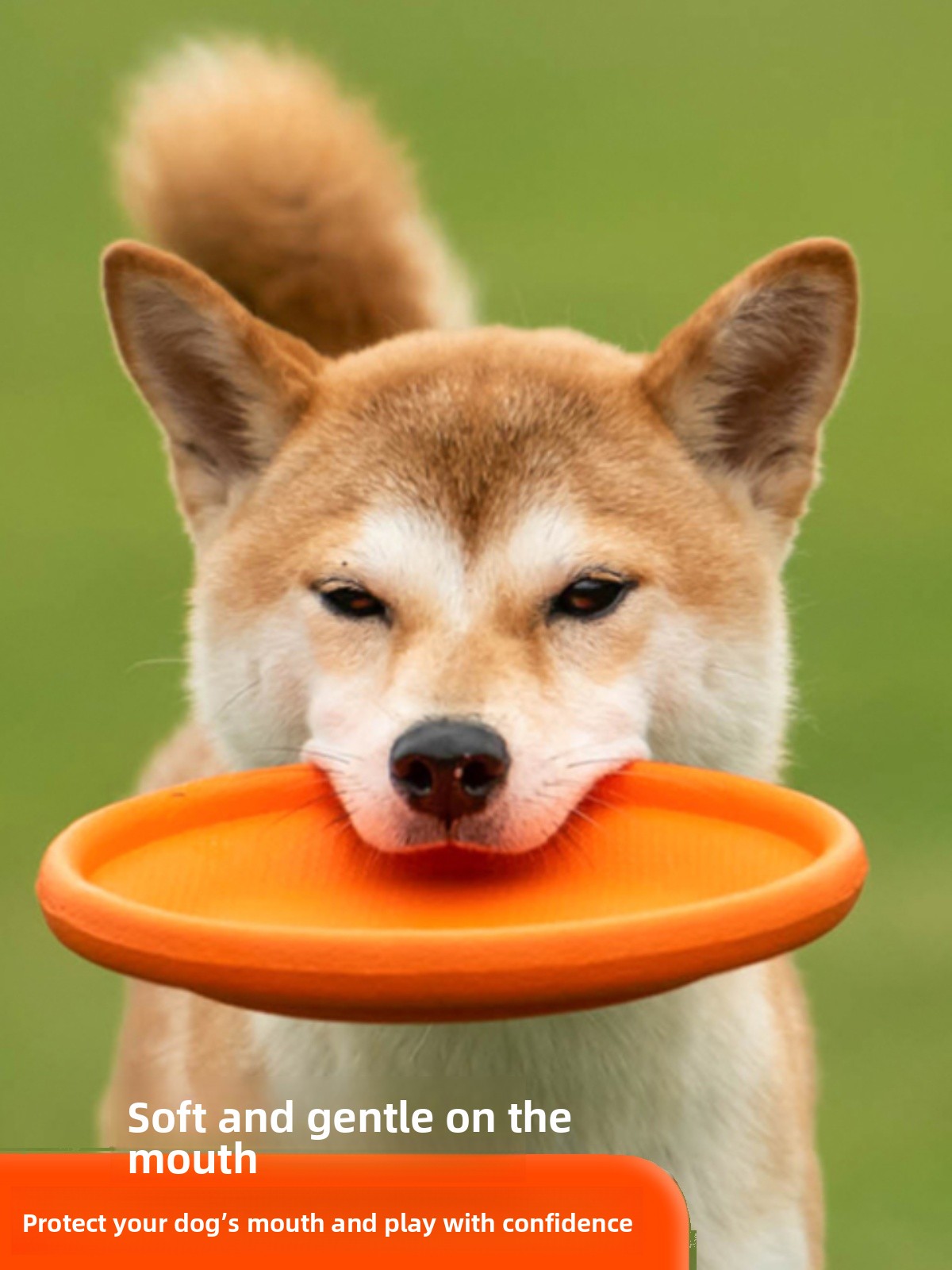 Dog Flying Disc Soft Durable B - đánh giá và giá Flying Disc Dog Training Toy