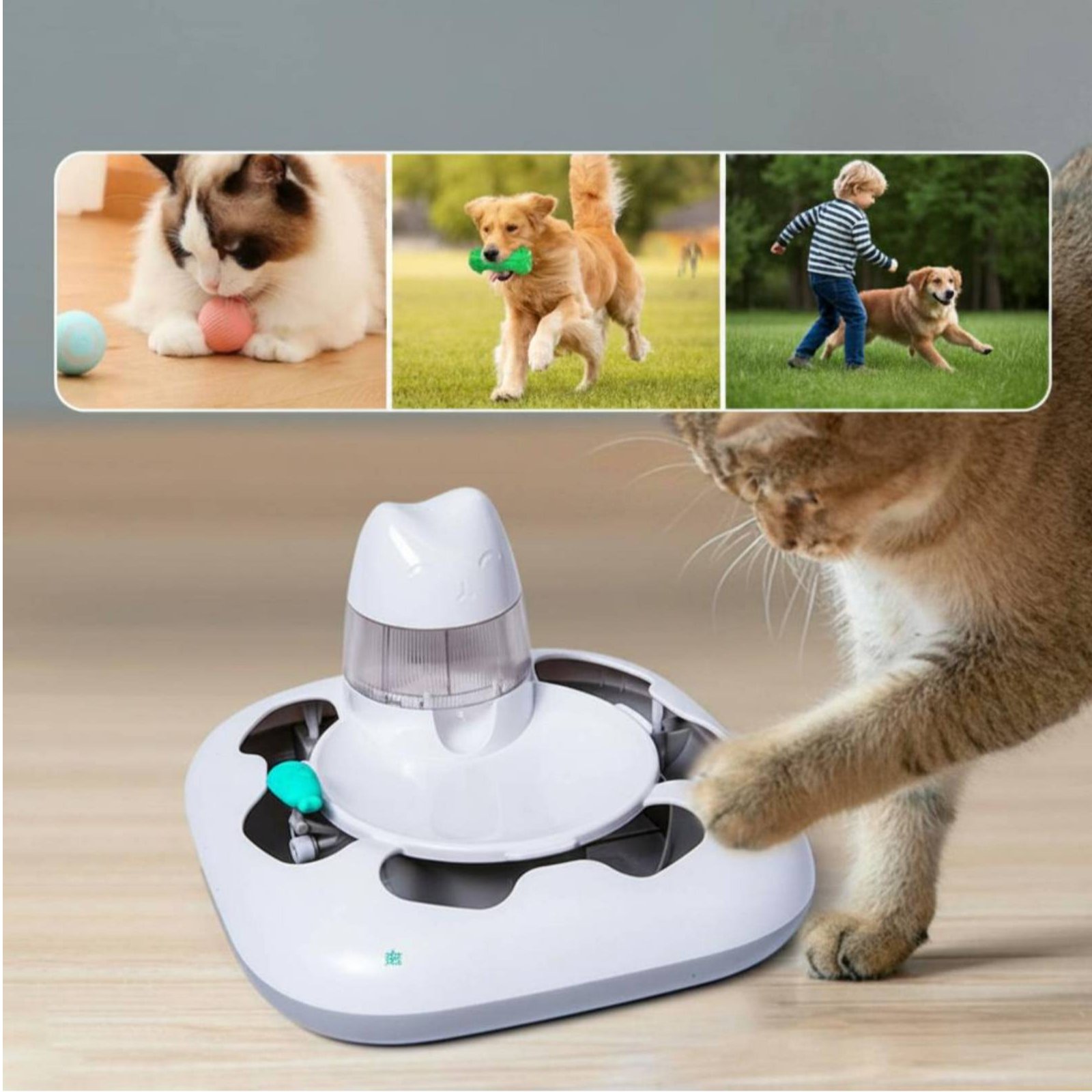 Cat Hunting Game Machine Inter - đánh giá và giá Cat Toys