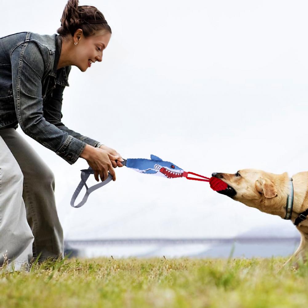 Shark Rope Tug Toy with Suctio - đánh giá và giá Suction Cup Dog Tug Toy