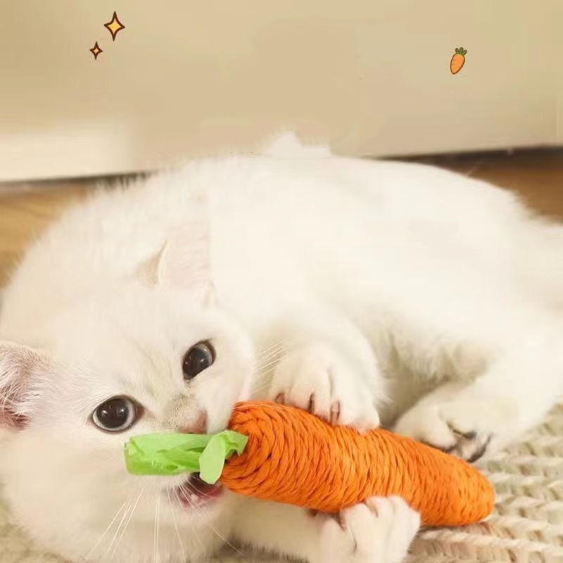 Fun Cat Teething Stick Sound C - đánh giá và giá Snuffle Mat For Dogs