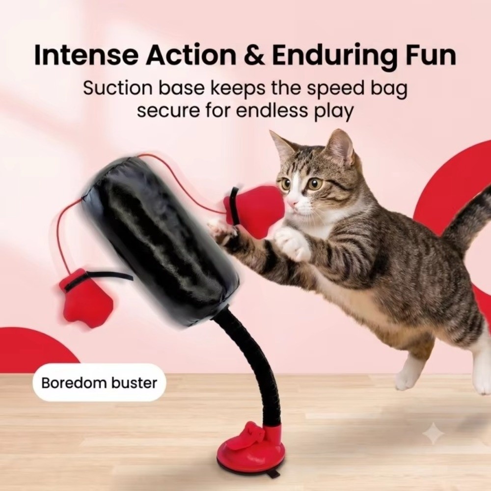 Suction Cup Base Cat Boxing To - đánh giá và giá Interactive Squeaky Plush Dog Toy