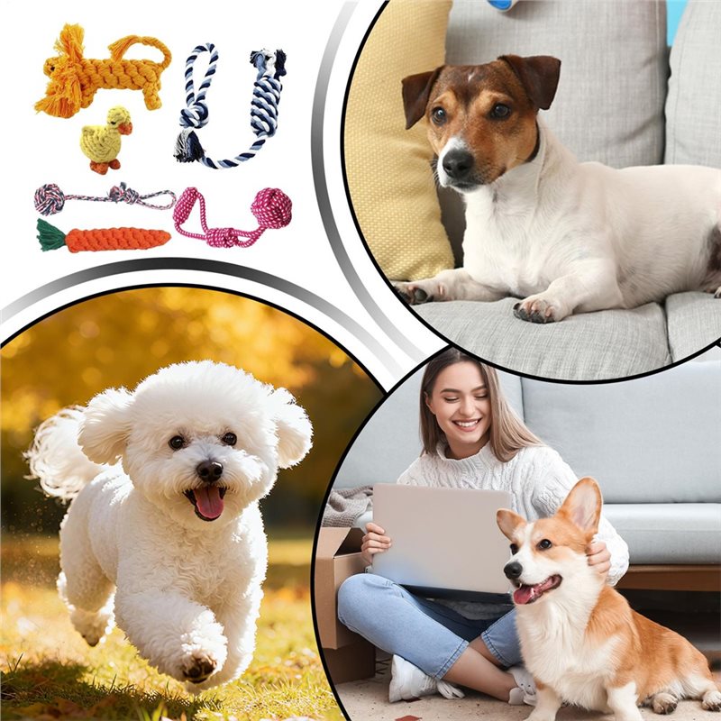 Rope For Dogs 6 Pieces Cotton  - đánh giá và giá Dog Rope Toy Aggressive Chewers