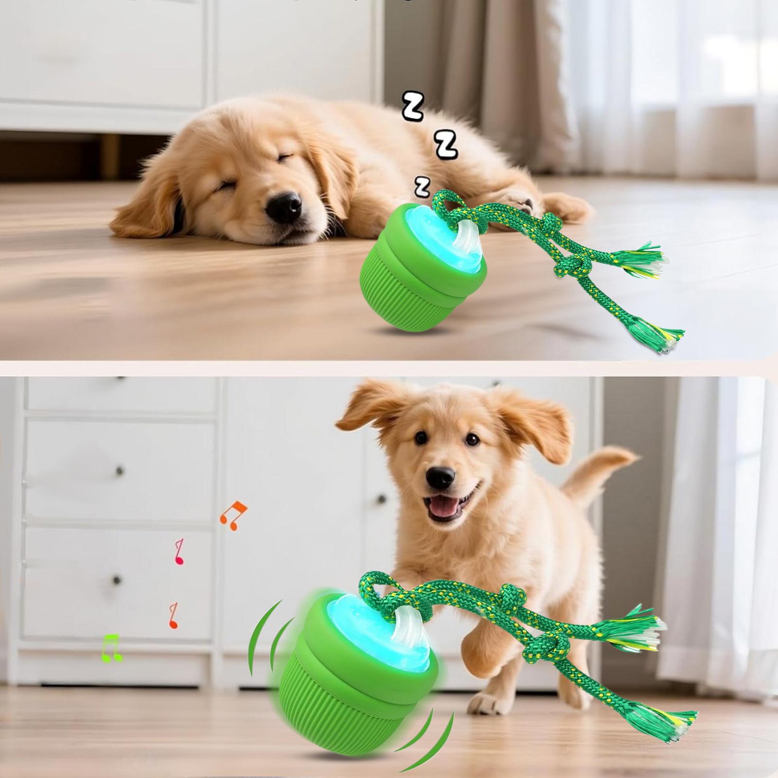 Interactive Dog Ball Automatic - đánh giá và giá Automatic Moving Dog Ball