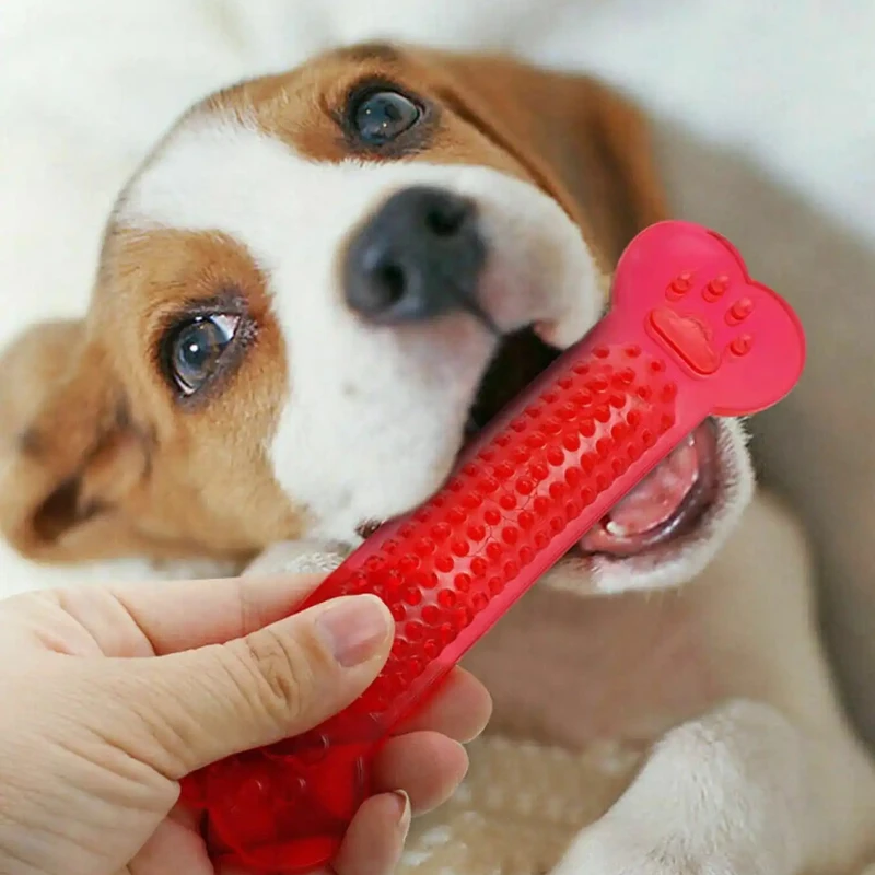 Super Tough Dog Bone Chew Toy  - đánh giá và giá Teeth Cleaning Dog Chew Bone