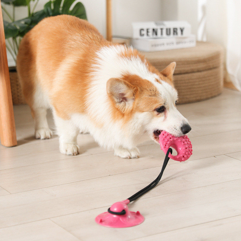 Dog Toys Silicon Suction Cup T - đánh giá và giá Suction Cup Dog Tug Toy