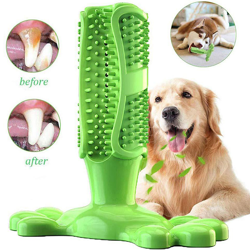 Pet Dog Cactus Interactive Rub - đánh giá và giá Rubber Treat Dispensing Dog Toy
