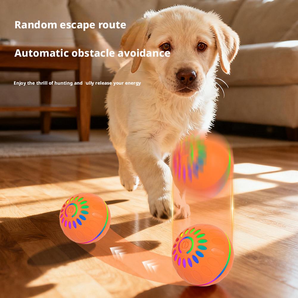 Smart Dog Toy Ball Automatic I - đánh giá và giá Automatic Moving Dog Ball