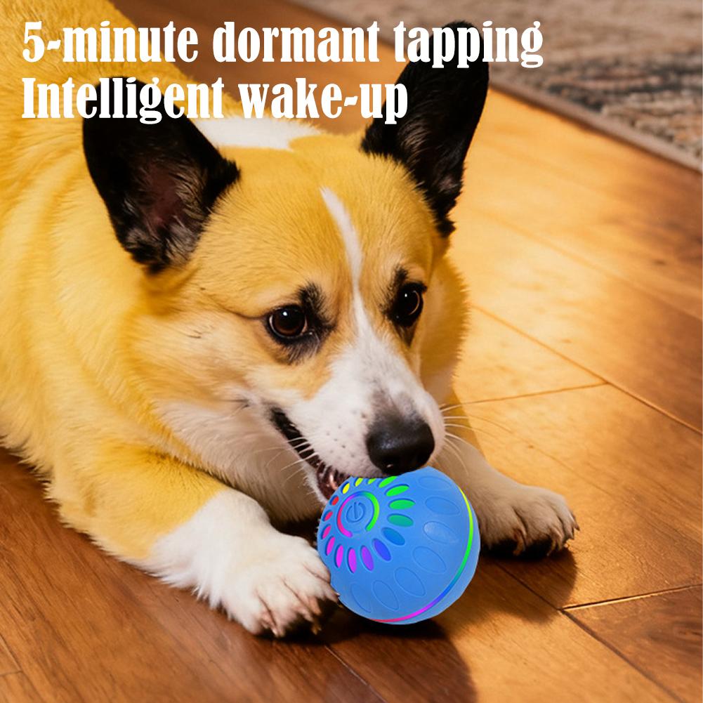 Smart Dog Toy Ball Automatic I - đánh giá và giá Automatic Moving Dog Ball