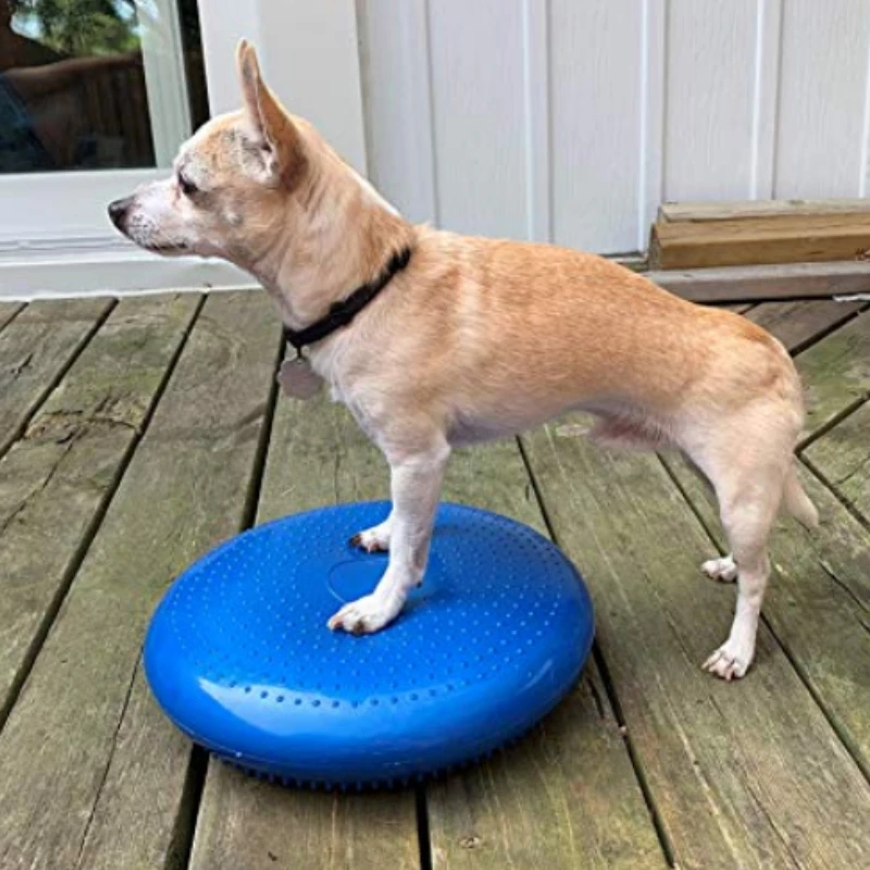 Dogs Training Aids Balance Fly - đánh giá và giá Flying Disc Dog Training Toy