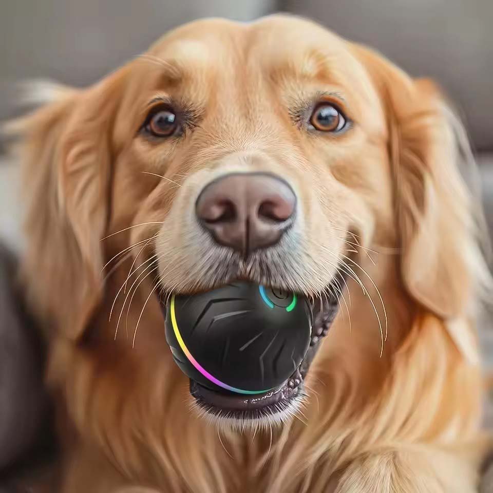 Interactive Smart Dogs Toys Ba - đánh giá và giá Automatic Moving Dog Ball