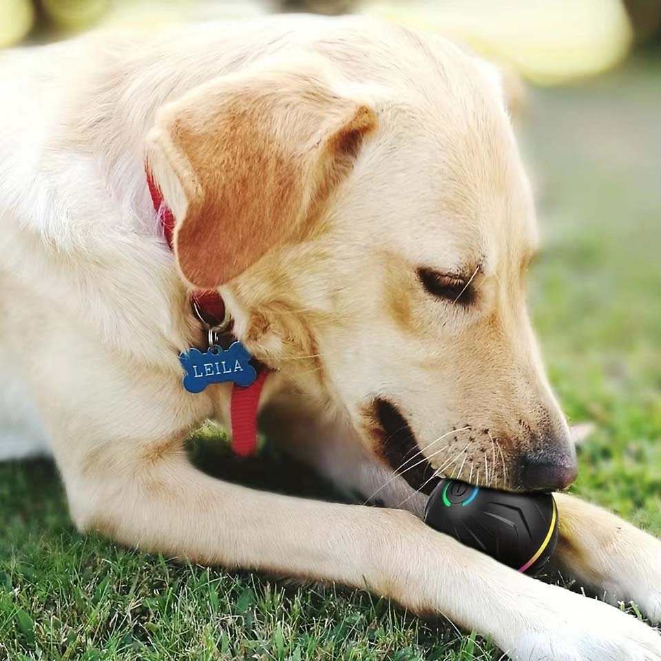 Interactive Smart Dogs Toys Ba - đánh giá và giá Automatic Moving Dog Ball