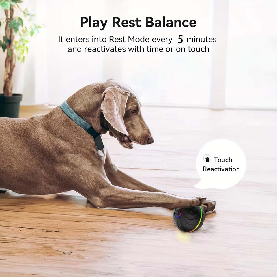 Interactive Smart Dogs Toys Ba - đánh giá và giá Automatic Moving Dog Ball