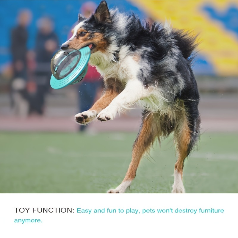 Interactive Design Dog Ball To - đánh giá và giá Dog Puzzle Feeder Toy