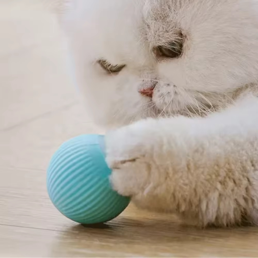 Automatic Moving Ball for Dog  - đánh giá và giá Automatic Moving Dog Ball