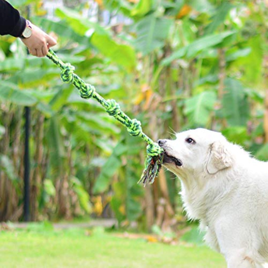 Dog Toys for Large Dogs and Ag - đánh giá và giá Dog Rope Toy Aggressive Chewers