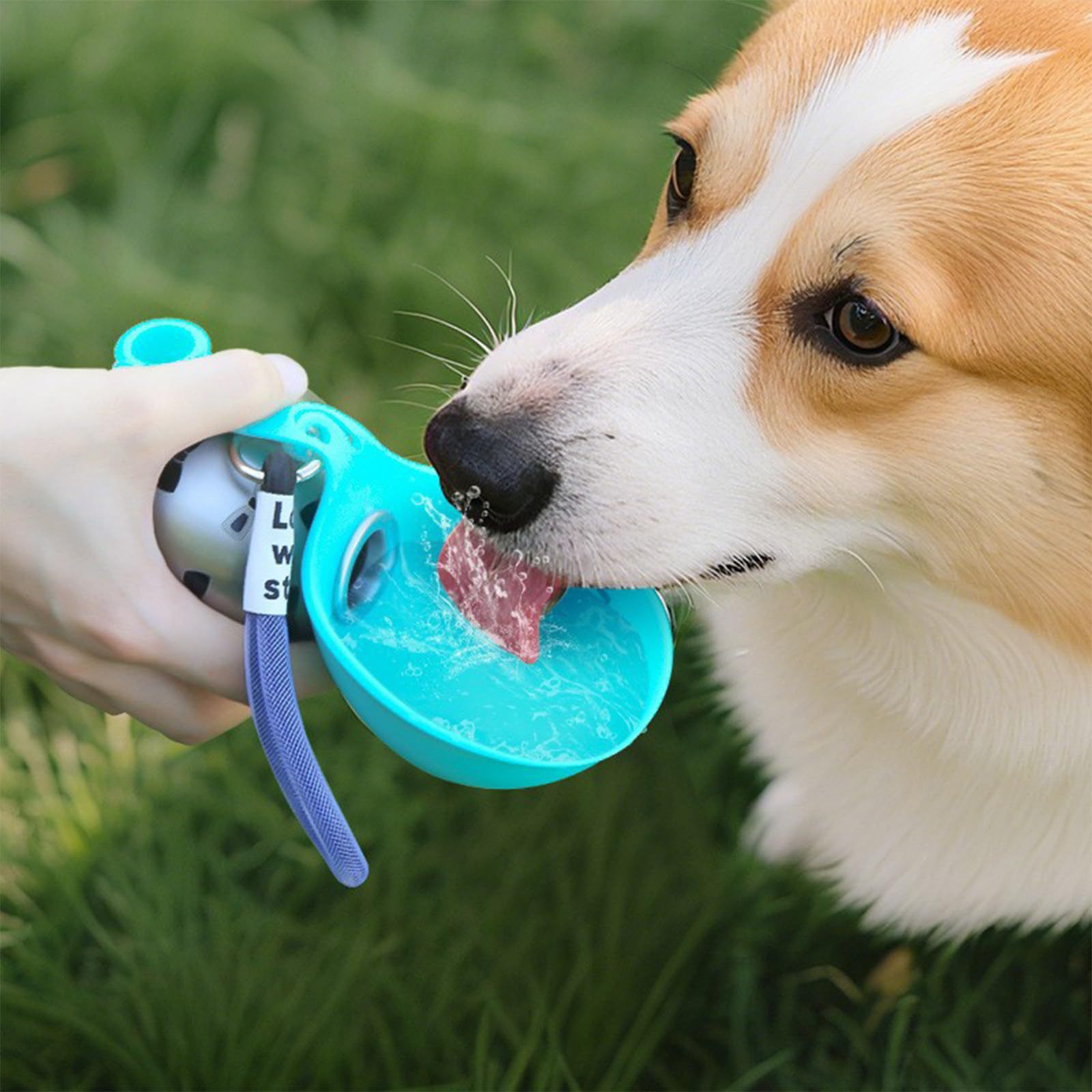 ACG Goods Portable Silicone Pe - đánh giá và giá Pet Feeders