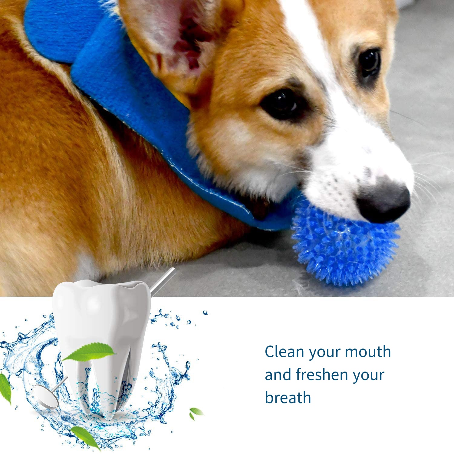Dog Toys Sound Toy Bouncy Ball - đánh giá và giá Suction Cup Dog Tug Toy
