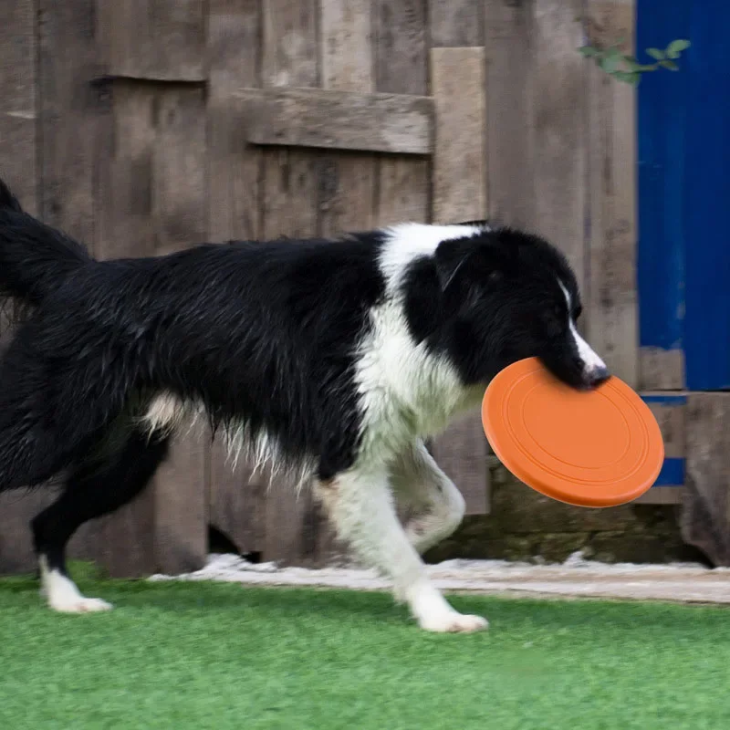 Silicone Flying Saucer Funny D - đánh giá và giá Flying Disc Dog Training Toy