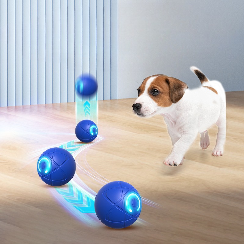 Smart Dog Toy Ball USB Automat - đánh giá và giá Automatic Moving Dog Ball