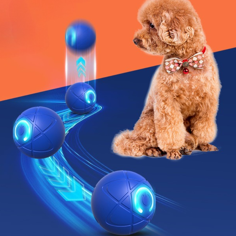 Smart Dog Toy Ball USB Automat - đánh giá và giá Automatic Moving Dog Ball