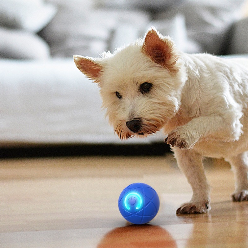 Smart Dog Toy Ball USB Automat - đánh giá và giá Automatic Moving Dog Ball