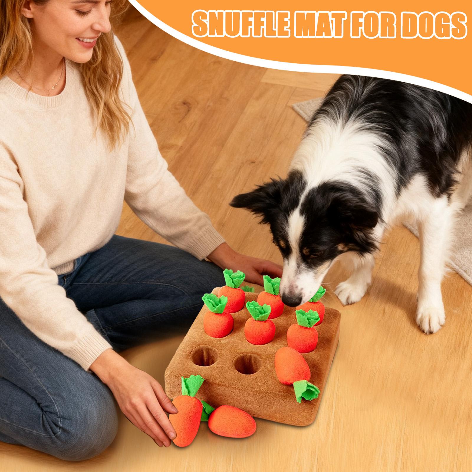 Snuffle Mat for Puppies Funny  - đánh giá và giá Snuffle Mat For Dogs