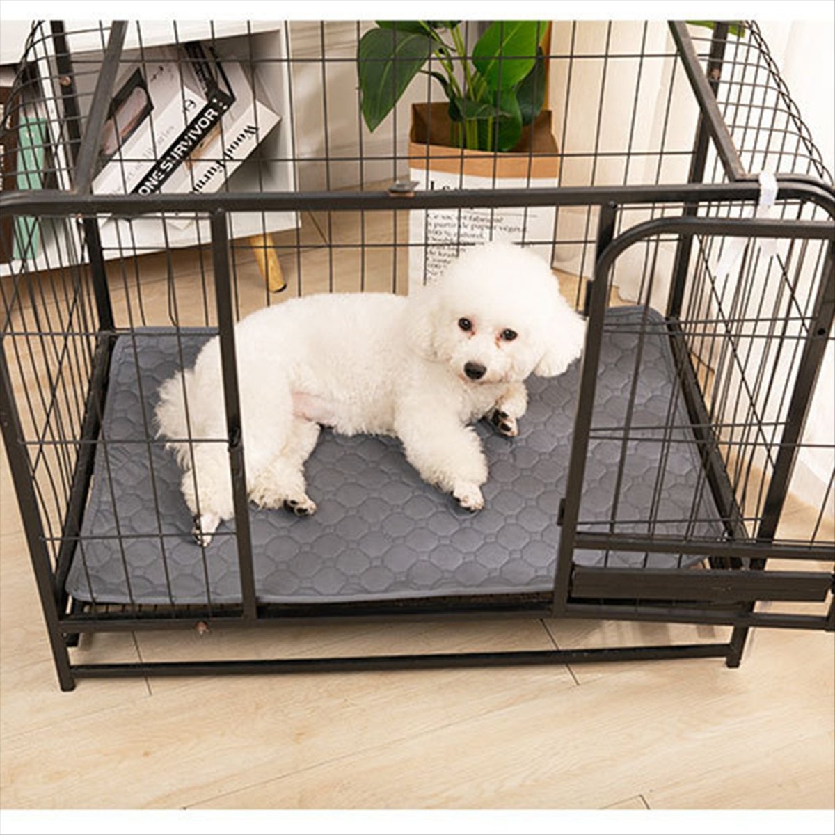 *A14E Reusable Blanket for Dog - đánh giá và giá Pet Beds